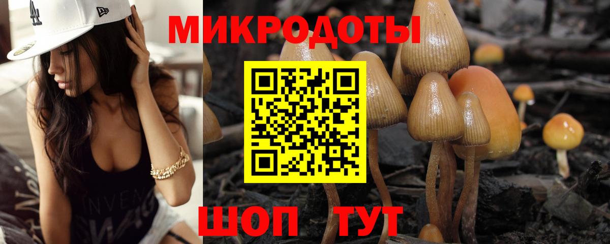 Луховицы  Галлюциногенные грибы Psilocybe  Вход с VPN 